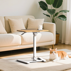 Mobile Folding Desk
